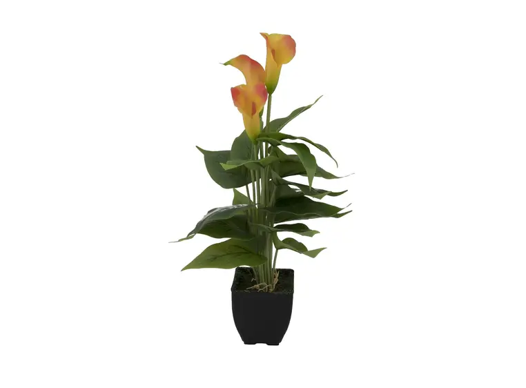 Europalms Mini Calla, Yellow Orange 43cm 