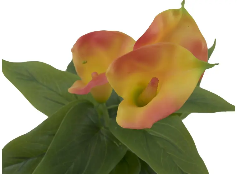 Europalms Mini Calla, Yellow Orange 43cm 