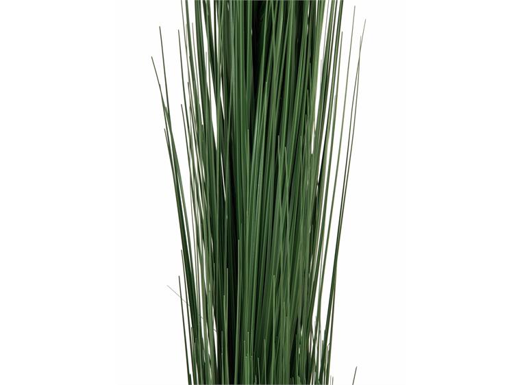 Europalms Reed grass, dark green, 127cm