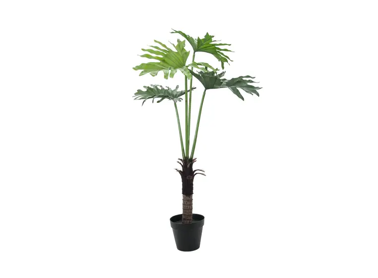 Europalms Split Philo Plant, 120cm 