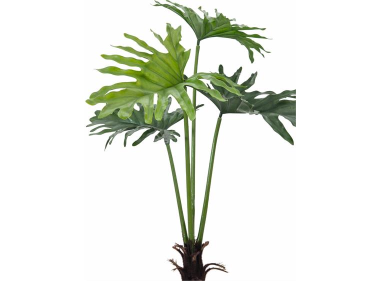 Europalms Split Philo Plant, 120cm