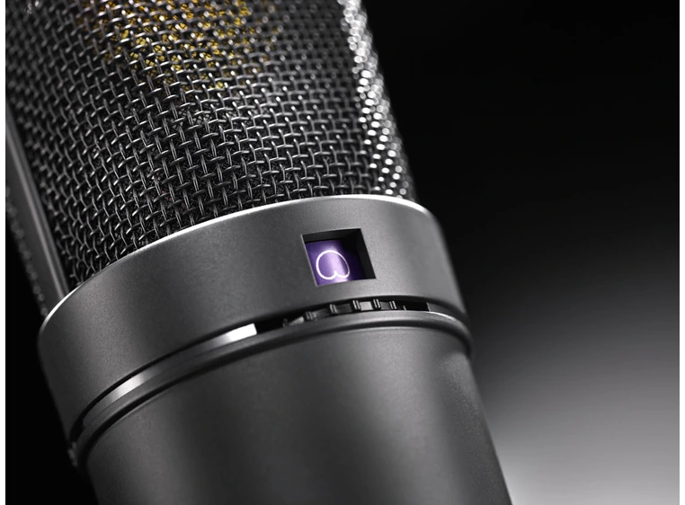 Neumann U 89 i mt Large diaphragm microphone with 5 switchab 