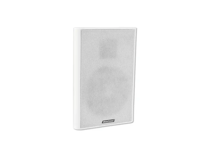 OMNITRONIC FPS-5 PA Wall Speaker 