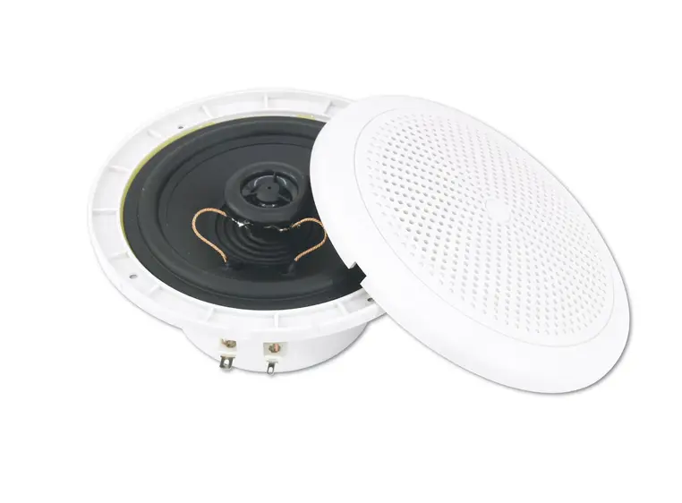OMNITRONIC WF-5 Flush-Mount Speaker 