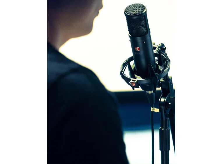 sE Electronics sE2300 