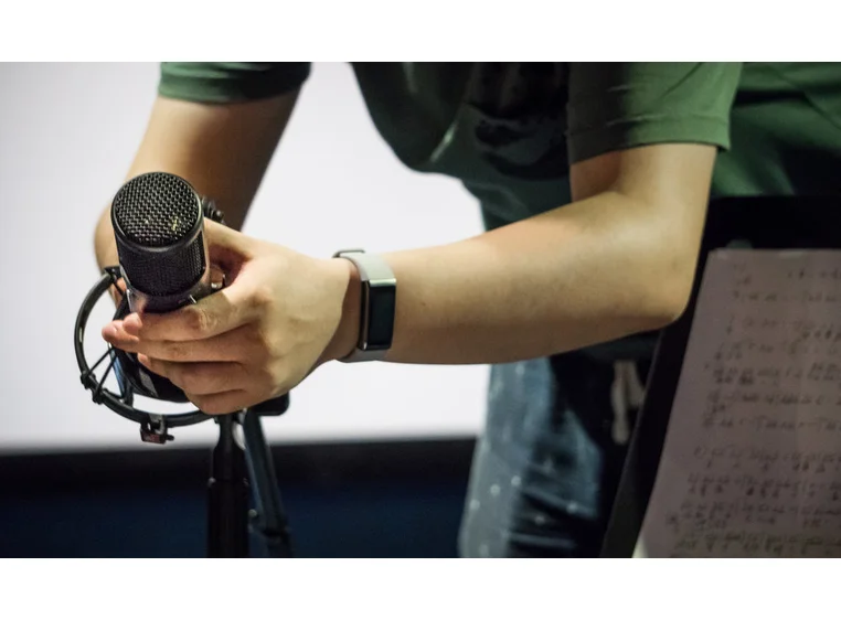 sE Electronics sE2300 