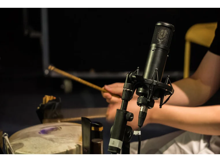 sE Electronics sE2300 