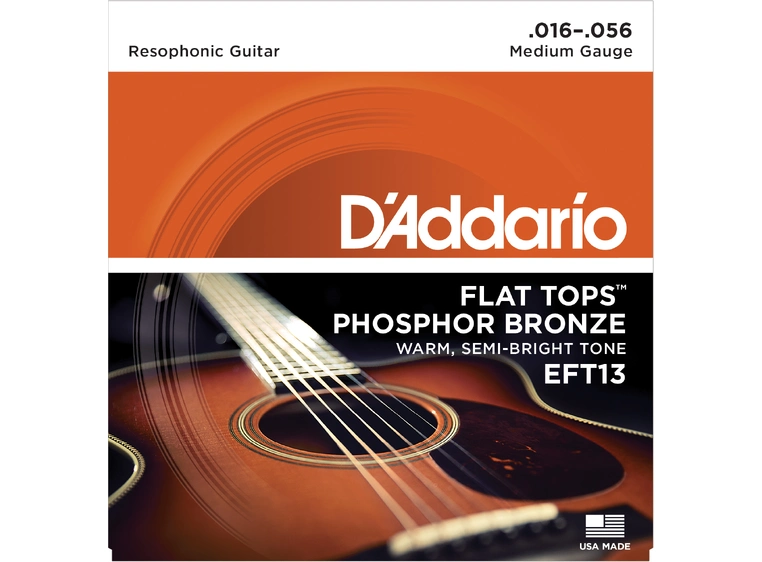 D'Addario EFT13 (016-056) 