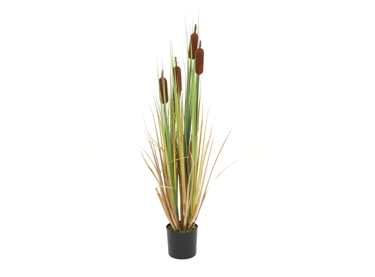 EUROPALMS Bulrush, alrtificial plant, 150cm 