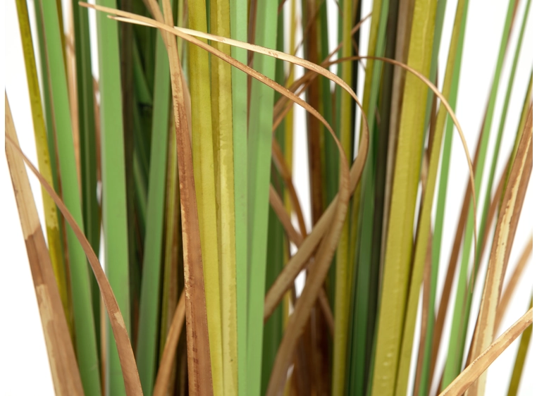 EUROPALMS Bulrush, alrtificial plant, 150cm 