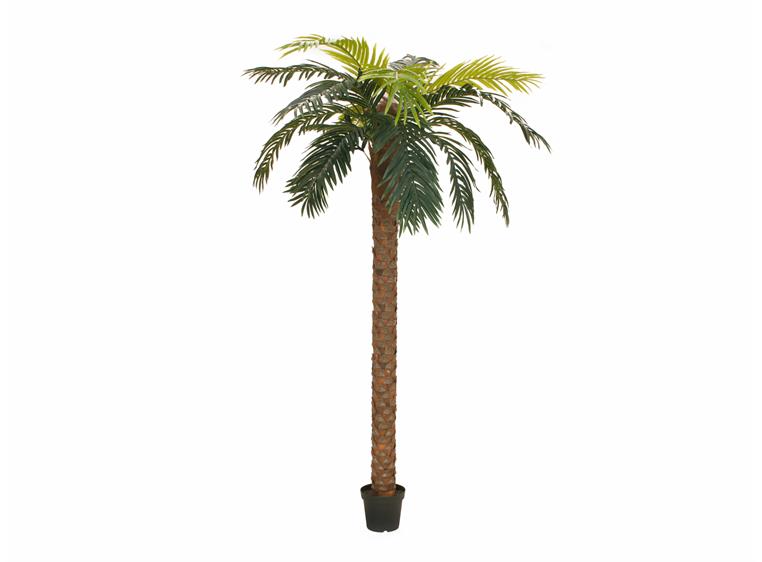 EUROPALMS Phoenix palm deluxe, artificial plant, 250cm