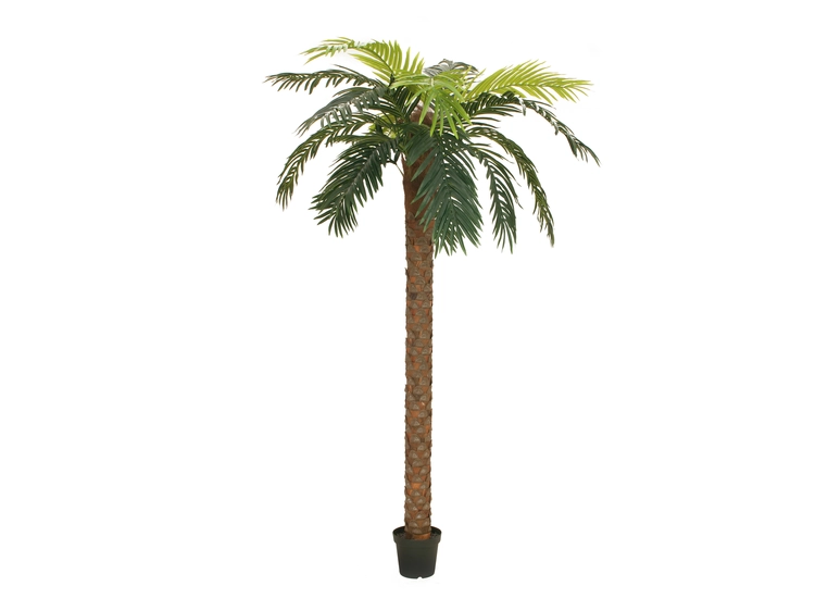 EUROPALMS Phoenix palm deluxe, artificial plant, 250cm 