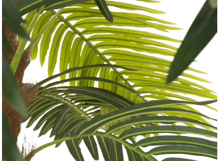EUROPALMS Phoenix palm deluxe, artificial plant, 250cm 