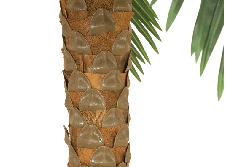 EUROPALMS Phoenix palm deluxe, artificial plant, 250cm 