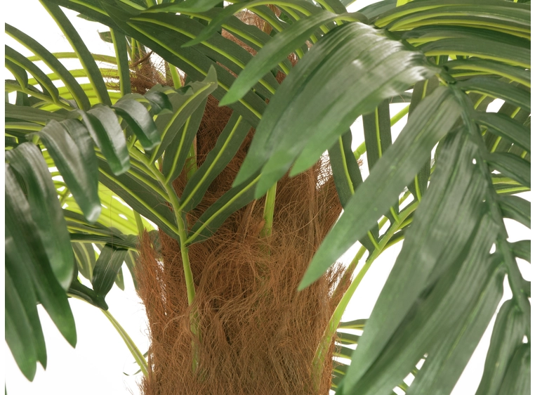EUROPALMS Phoenix palm deluxe, artificial plant, 250cm 