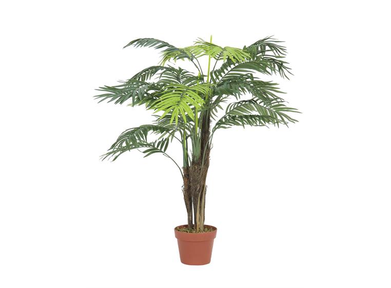 Europalms Areca palm, 110cm