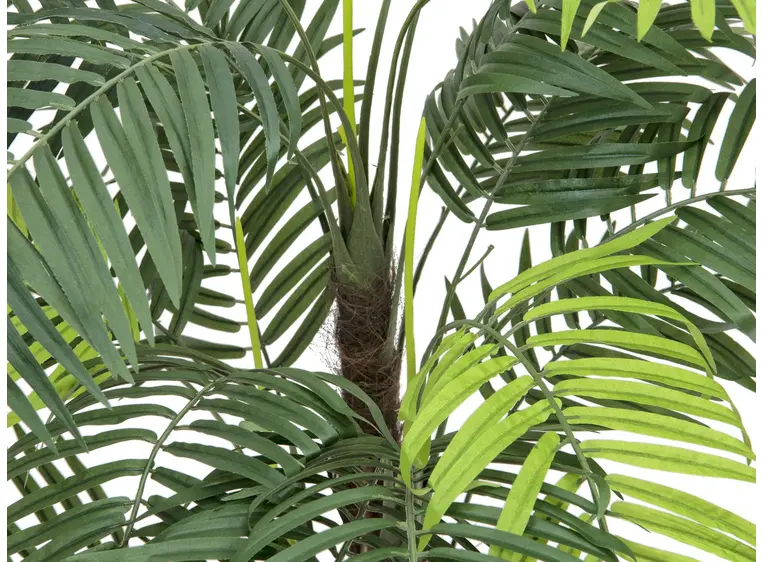 Europalms Areca palm, 110cm 