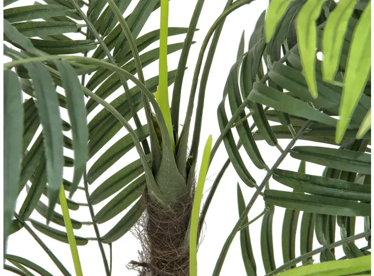 Europalms Areca palm, 110cm 