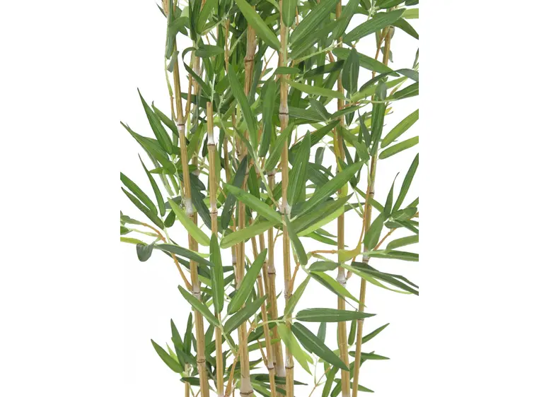 Europalms Bamboo in Bowl, 150cm 