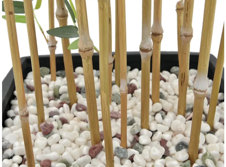 Europalms Bamboo in Bowl, 150cm 