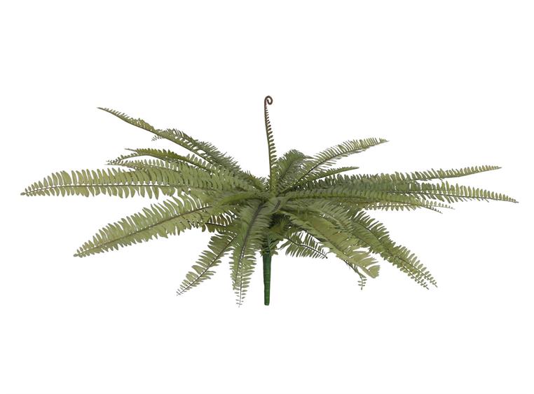 Europalms Boston fern, green, 70cm