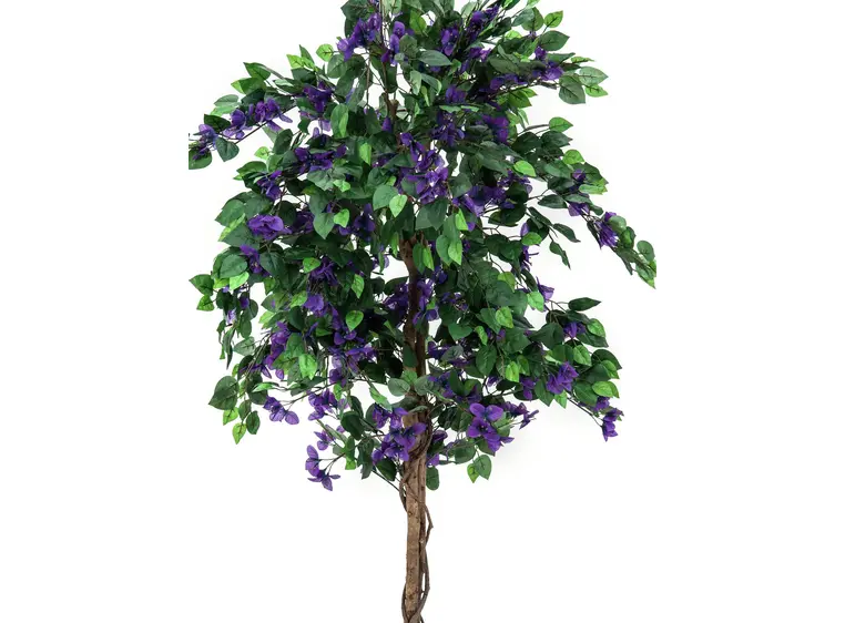 Europalms Bougainvillea, lavender, 180cm 