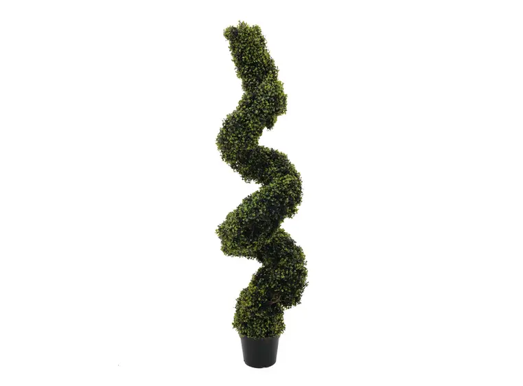 Europalms Boxwood Spiral, 180cm 