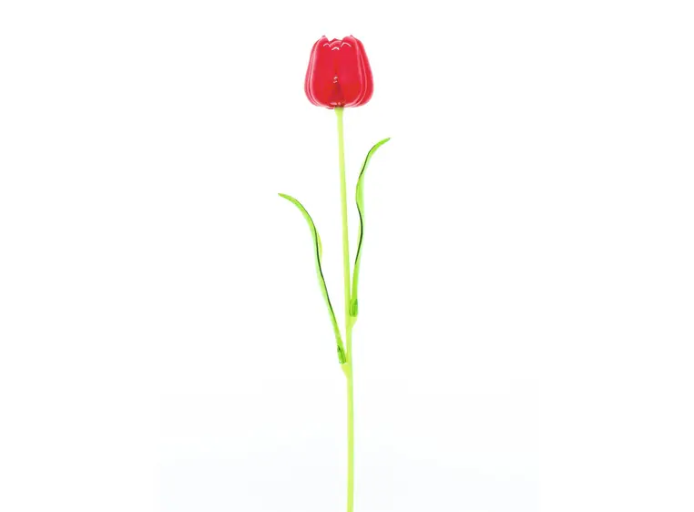 Europalms Crystal tulip, red 61cm 12x 