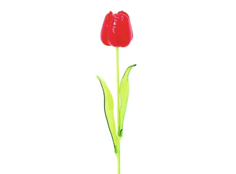 Europalms Crystal tulip, red 61cm 12x 