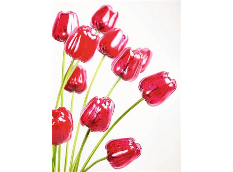 Europalms Crystal tulip, red 61cm 12x