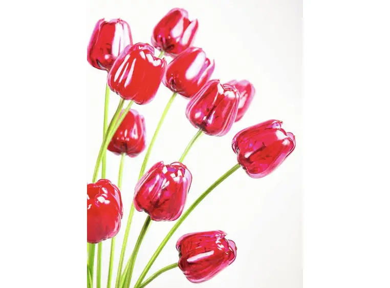Europalms Crystal tulip, red 61cm 12x 