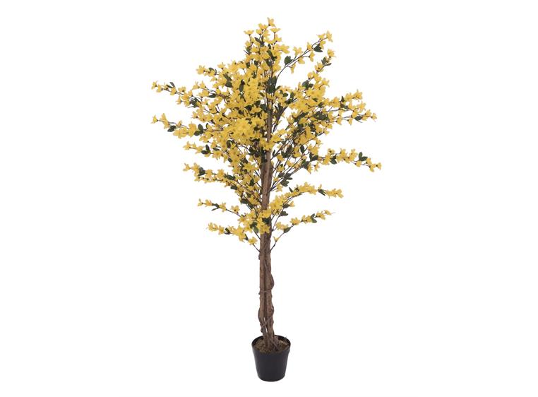 Europalms Forsythia tree with 4 trunks yellow, 150 cm