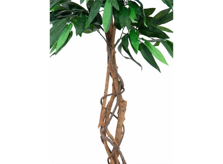 Europalms Jungle tree Mango, 150cm
