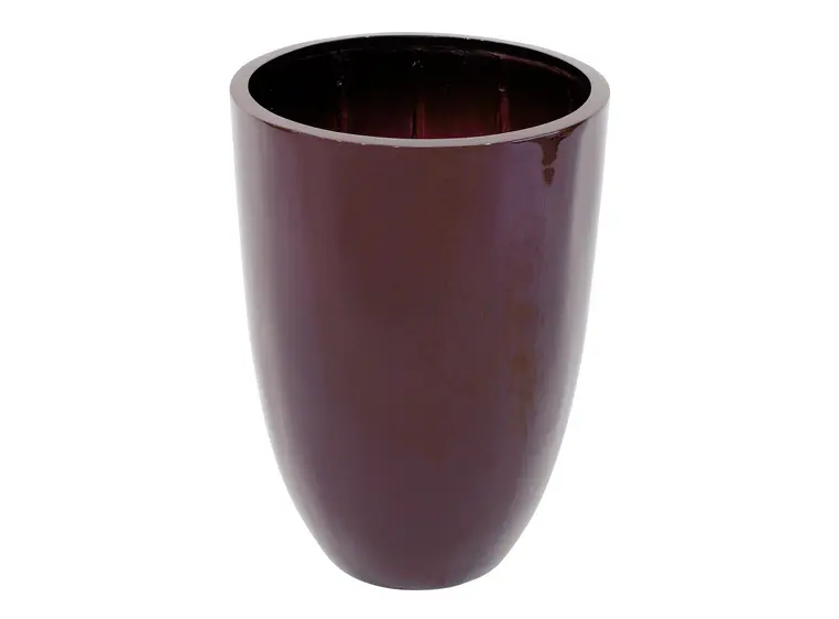 Europalms LEICHTSIN CUP-69, shiny-black 