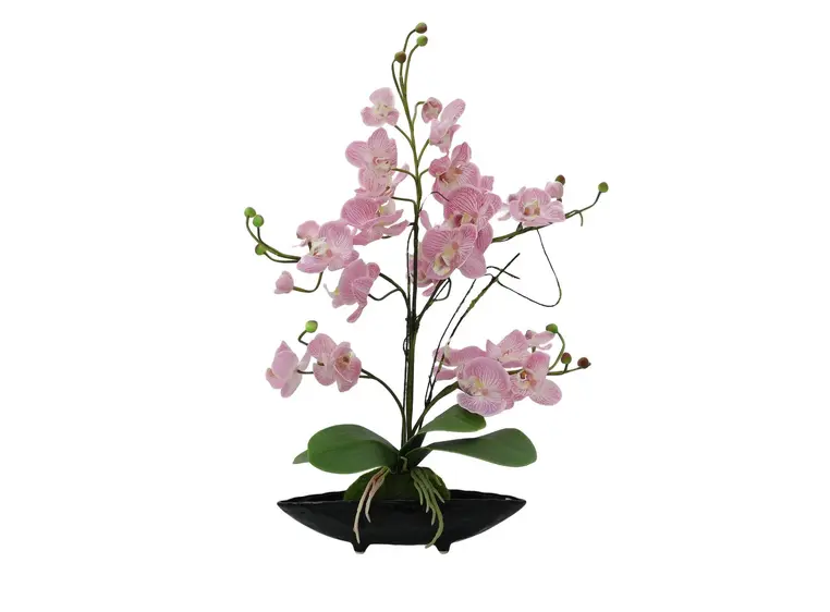 Europalms Orchid Arrangement EVA, purple 