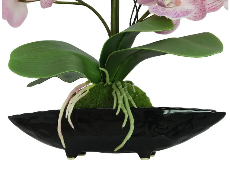 Europalms Orchid Arrangement EVA, purple 