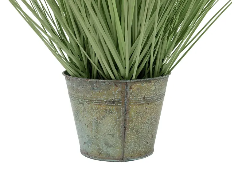 Europalms Ornamental grass, 65cm 