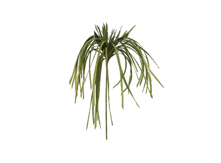 Europalms Seagrass (EVA), green 