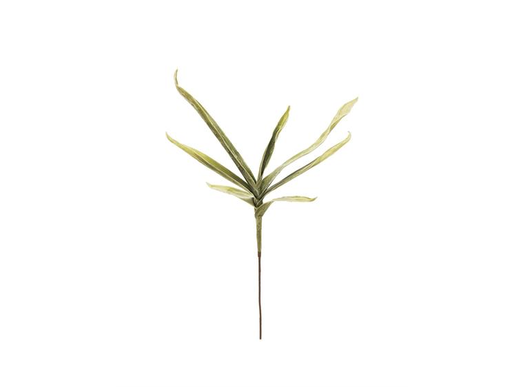 Europalms Yucca Branch (EVA), green