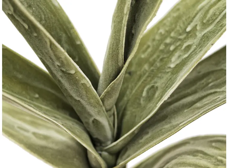 Europalms Yucca Branch (EVA), green 