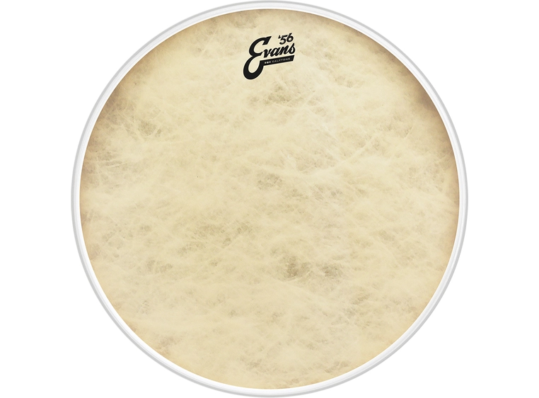 Evans TT16GB4CT 16 EQ4 Calftone Basstrommeskinn / trommeskinn 