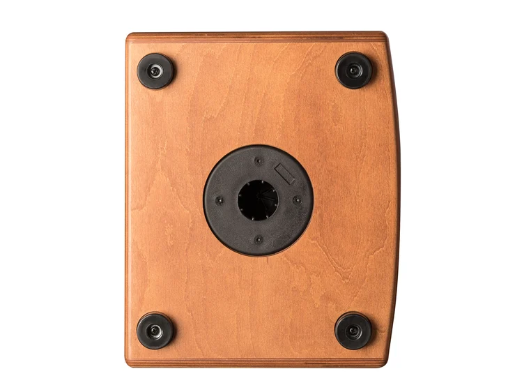 Hughes & Kettner Era 2 Wood Acoustic guitar amplifier 