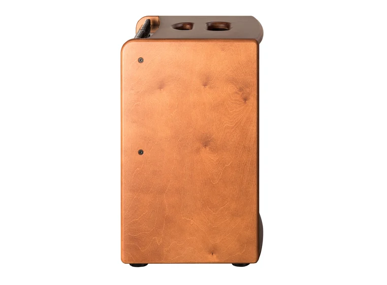 Hughes & Kettner Era 2 Wood Acoustic guitar amplifier 