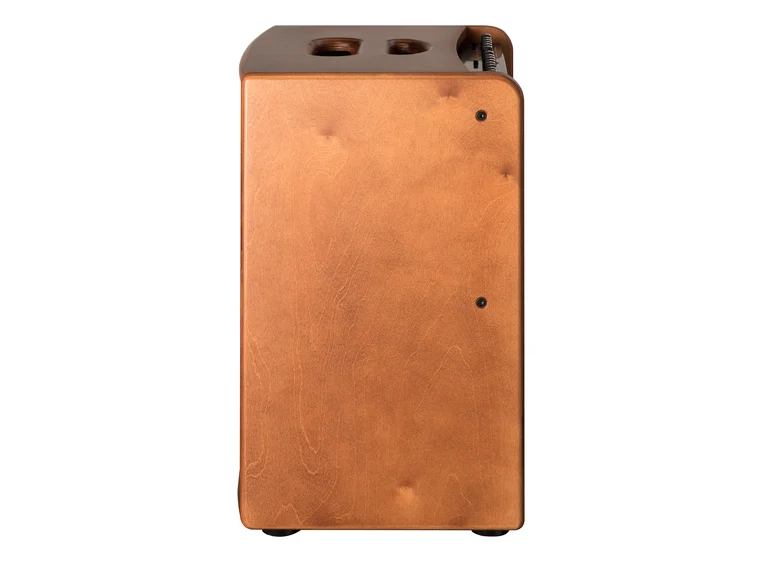 Hughes & Kettner Era 2 Wood Acoustic guitar amplifier 