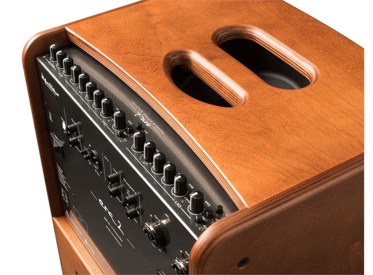 Hughes & Kettner Era 2 Wood Acoustic guitar amplifier
