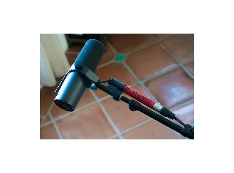 sE Electronics DM1 Dynamite +28dB Inline Mic Pre 