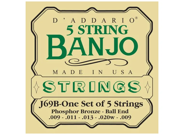 D'Addario EJ69B Light 5 str. Banjo, Ball End. 