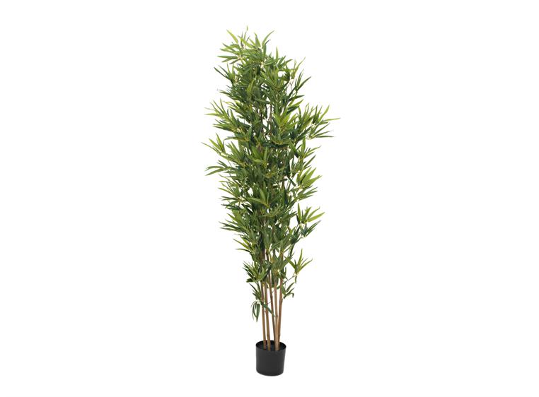 EUROPALMS Bamboo deluxe, artificial plant, 180cm
