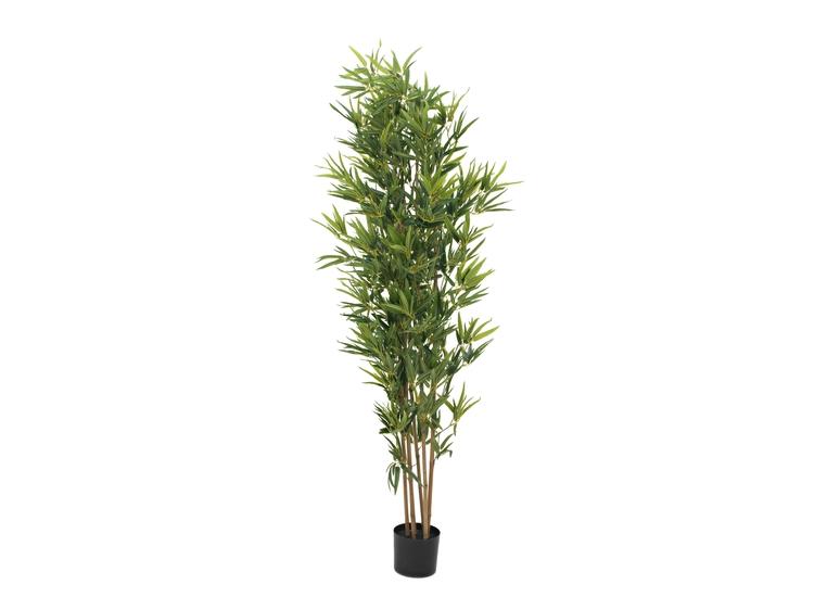 EUROPALMS Bamboo deluxe, artificial plant, 180cm 
