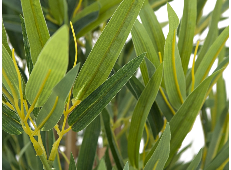 EUROPALMS Bamboo deluxe, artificial plant, 180cm 
